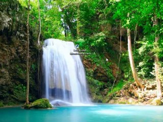 Free Realms Membership Added For Free Just Download!