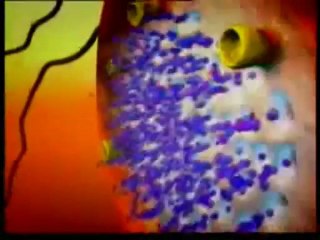 BEYİN SÜPER BİLGİSAYAR