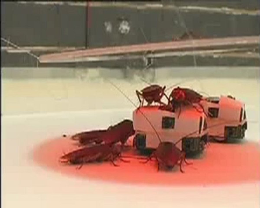 Robot - 17