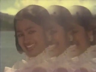 Iru Paravaigal from Niram Maratha Pookal