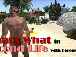 Whats What in Second Life