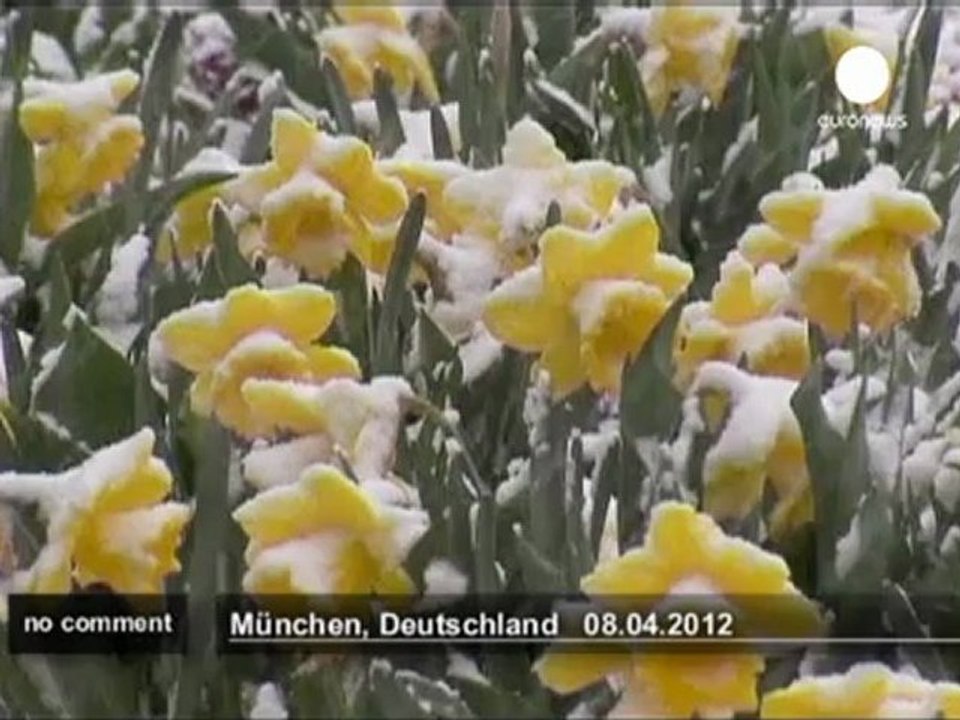 Spring Snow in Munich - no comment