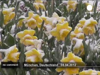 Neige de printemps à Munich - no comment