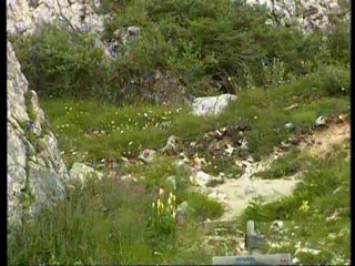 nelluovo di pasqua pioggia e neve