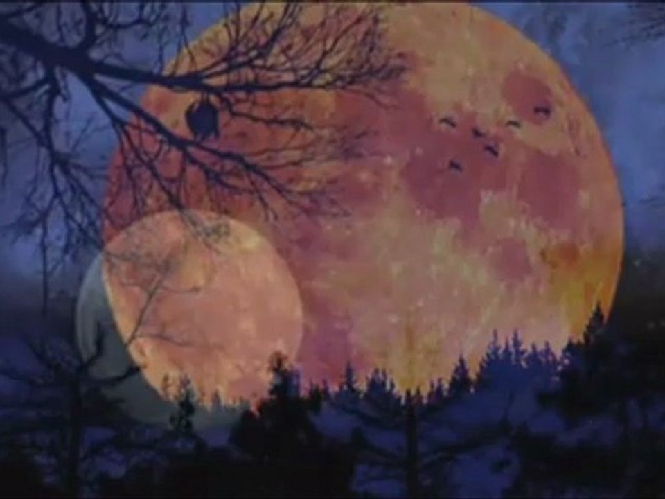 ELİAS RAHBANİ -MOONLİGHT MELODY (adnanbozoglu)