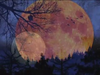 ELİAS RAHBANİ -MOONLİGHT MELODY (adnanbozoglu)