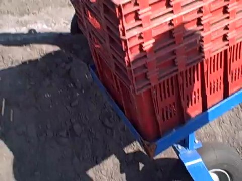 Interview d'Evelyne Margariti, productrice d'asperges à Ychoux, Landes (©Papilles et Pupilles)