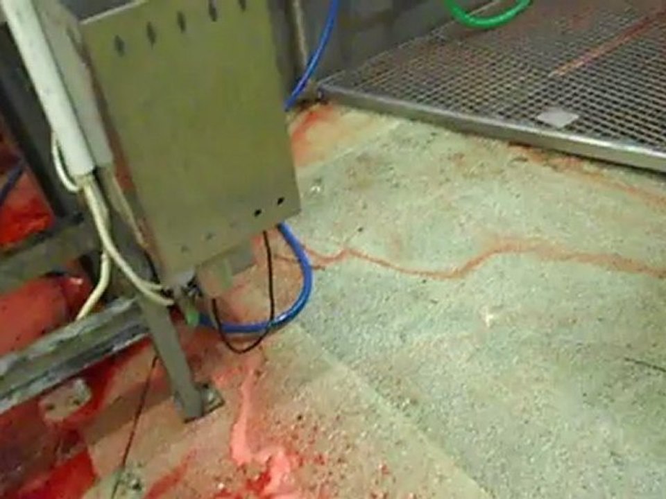 Pakistan'lı Kasap Muhammad Rızwan (Rıdvan)