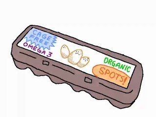 The Narrow Show: Eggs, Secada, Cicadas,