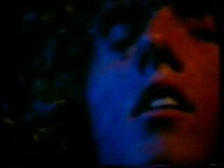 The who - see me, feel me