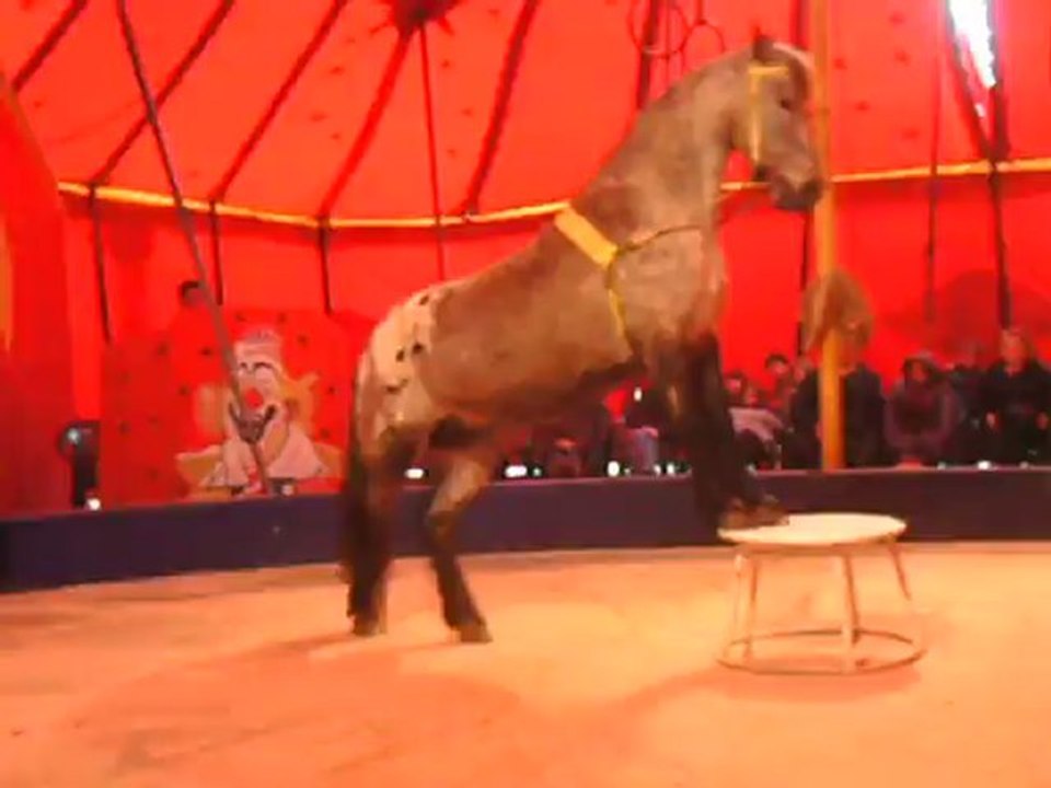 CIRQUE2