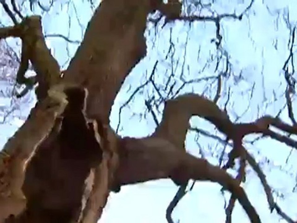 Discoveries of the week - 07.04.2012 | arts.21