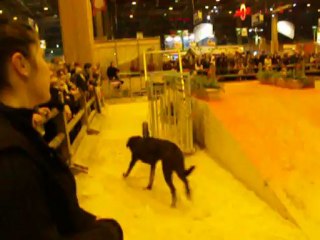 Michel Pillard au Salon - 2012 - 4ème partie