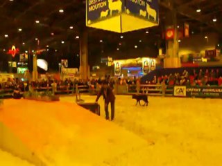 Michel Pillard au Salon - 2012 - 5ème partie