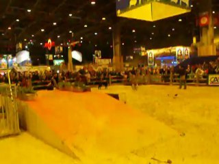 Michel Pillard au Salon - 2012 - 6ème partie