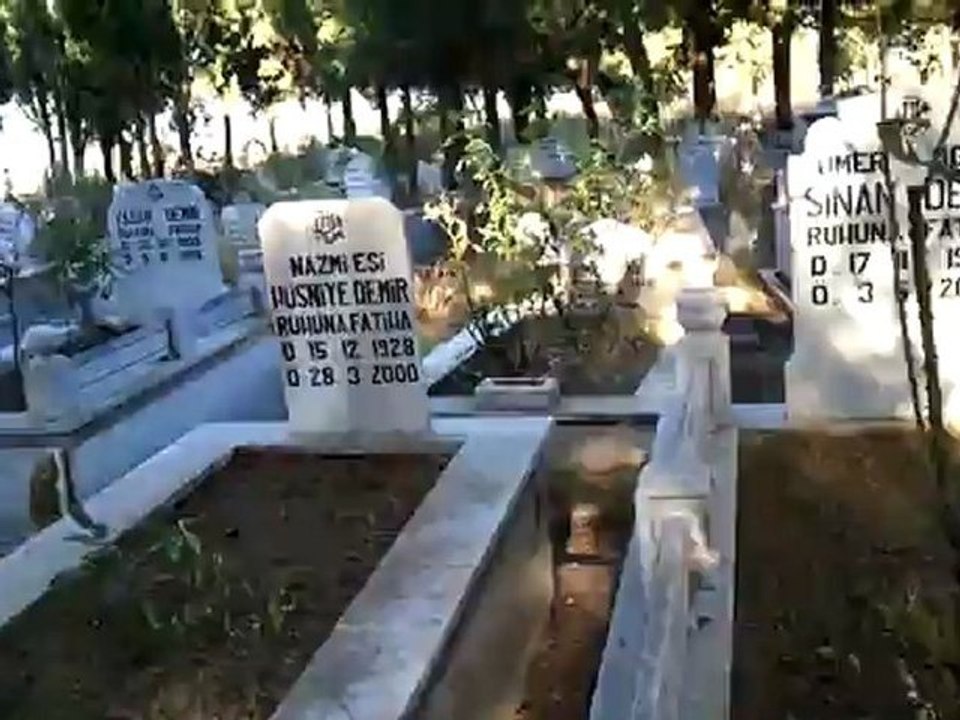 Video0012