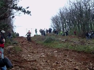 grappe de cyrano 2012 ( le reclaud )