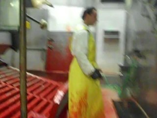 Polonya Mezbahalarında Sığır Kesiminde Teknoloji Harikası...