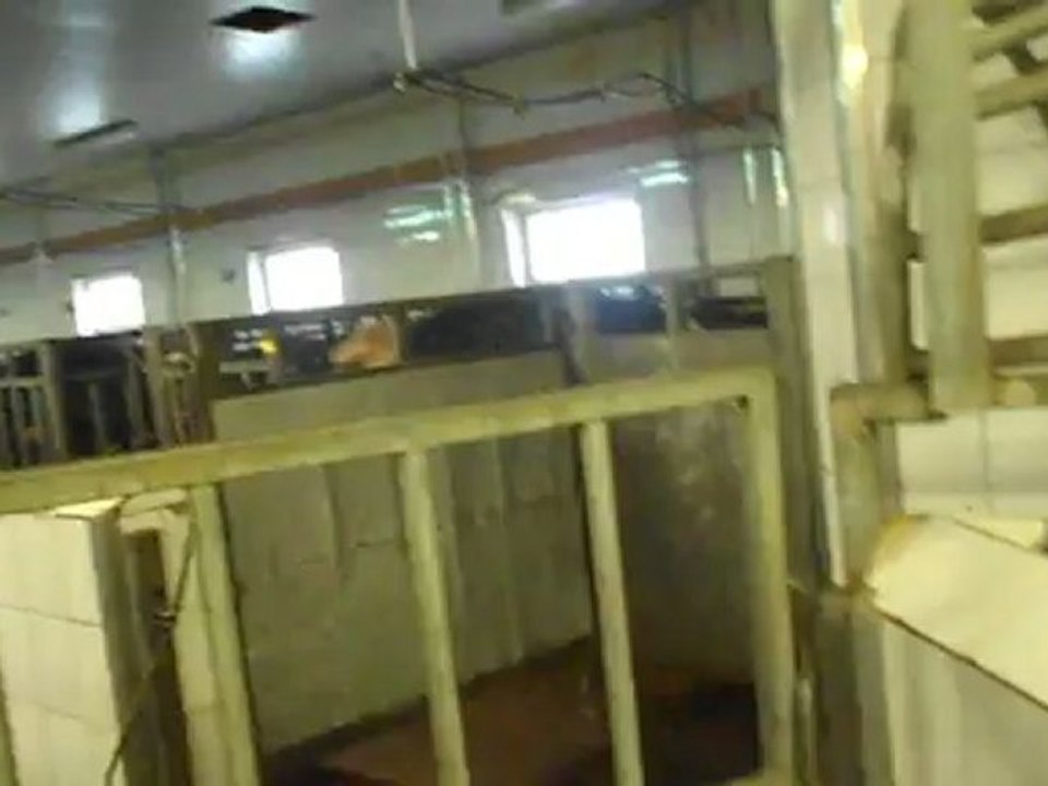 Canlı Hayvan Padogları, Mocobody-Polonya