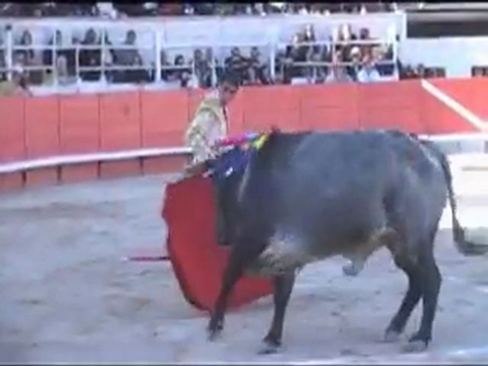 Castaño Arles