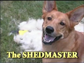 Classic Game Room reviews POINTMASTER for ATARI 2600