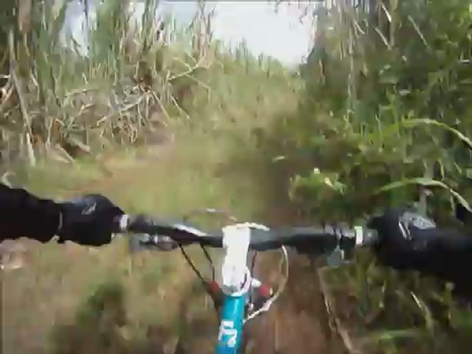 Descente du Piton Maïdo