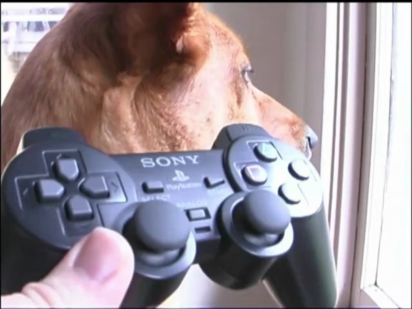 Classic Room - PS2 DUALSHOCK 2 CONTROLLER - video Dailymotion