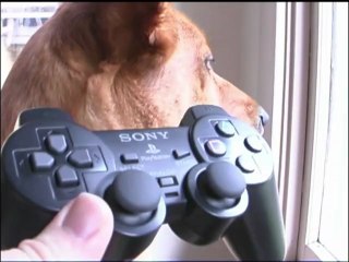 Classic Game Room - PS2 DUALSHOCK 2 CONTROLLER review