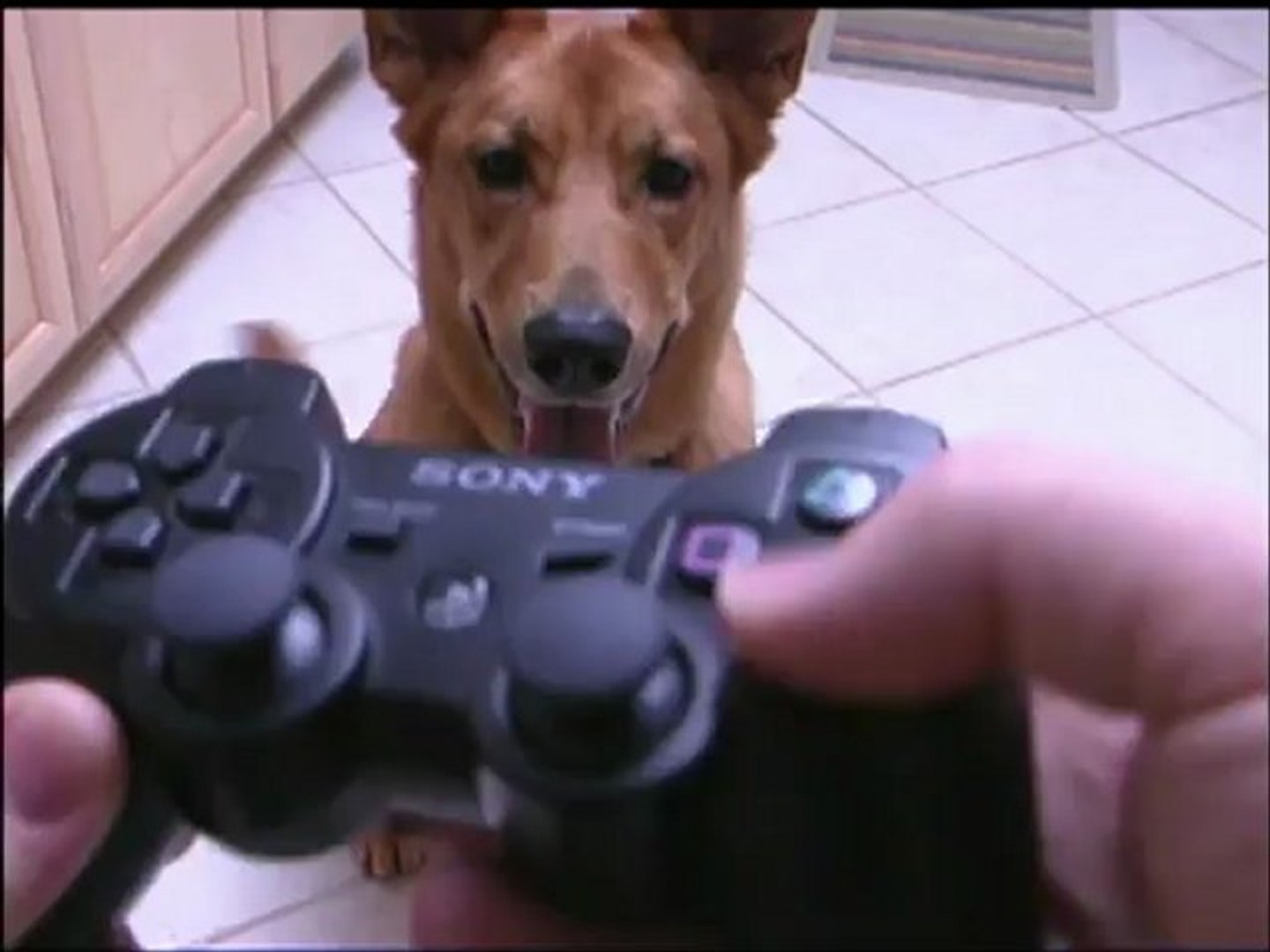 Classic Game Room PS3 SIXAXIS Controller review video Dailymotion