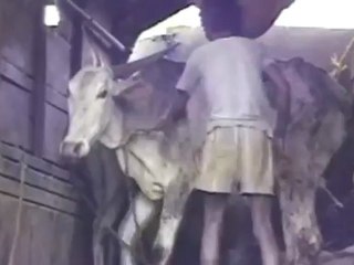 Where is our food coming from (farm animal production in India)