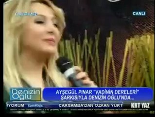 Ayşegül PINAR  -   VADİNİN DERLERİ