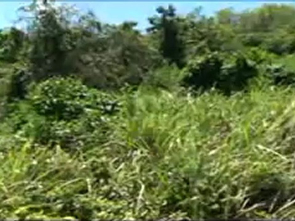 Ocean View Land Sale Fajardo Puerto Rico Terrenos Venta
