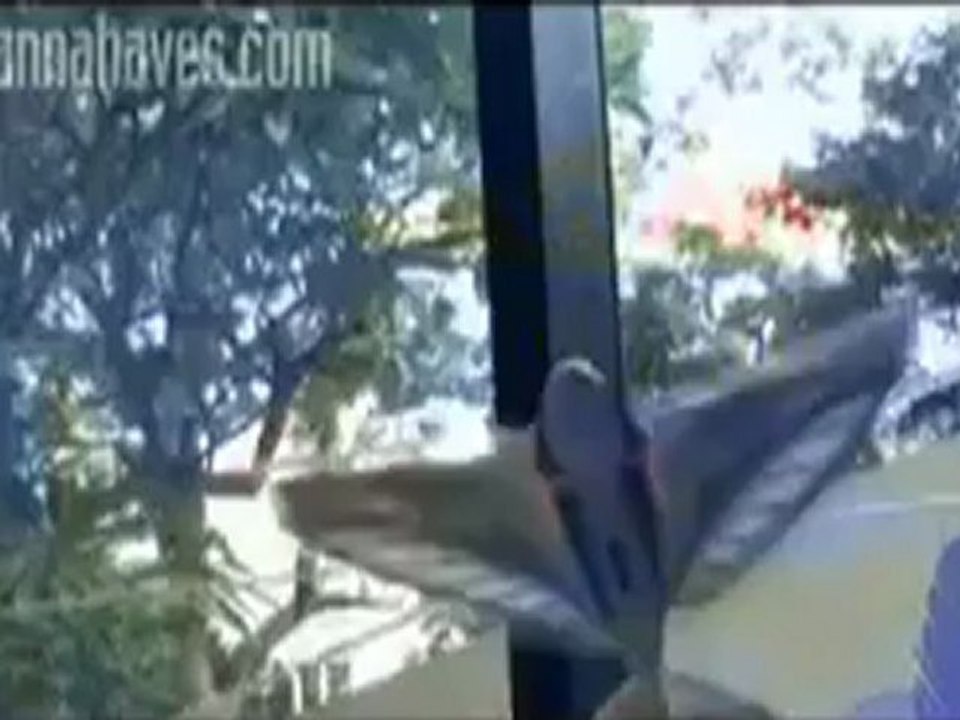 Uçan kuş robotu