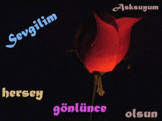 Müslim GÜRSES  - HERŞEY GÖNLÜNCE OLSUN