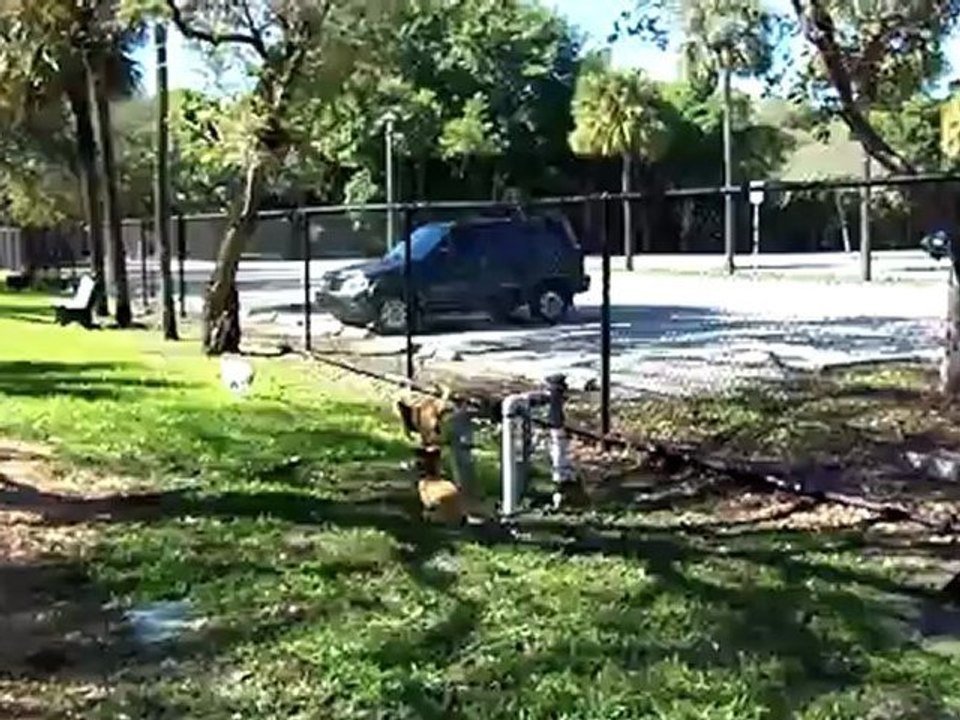 34- Snyder Bark Park