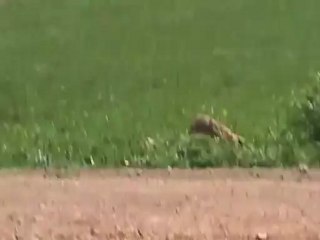 فري برس ديرجمال ريف حلب قصف بالطيران الحربي8 4 2012