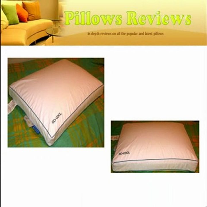 Pillow Reviews