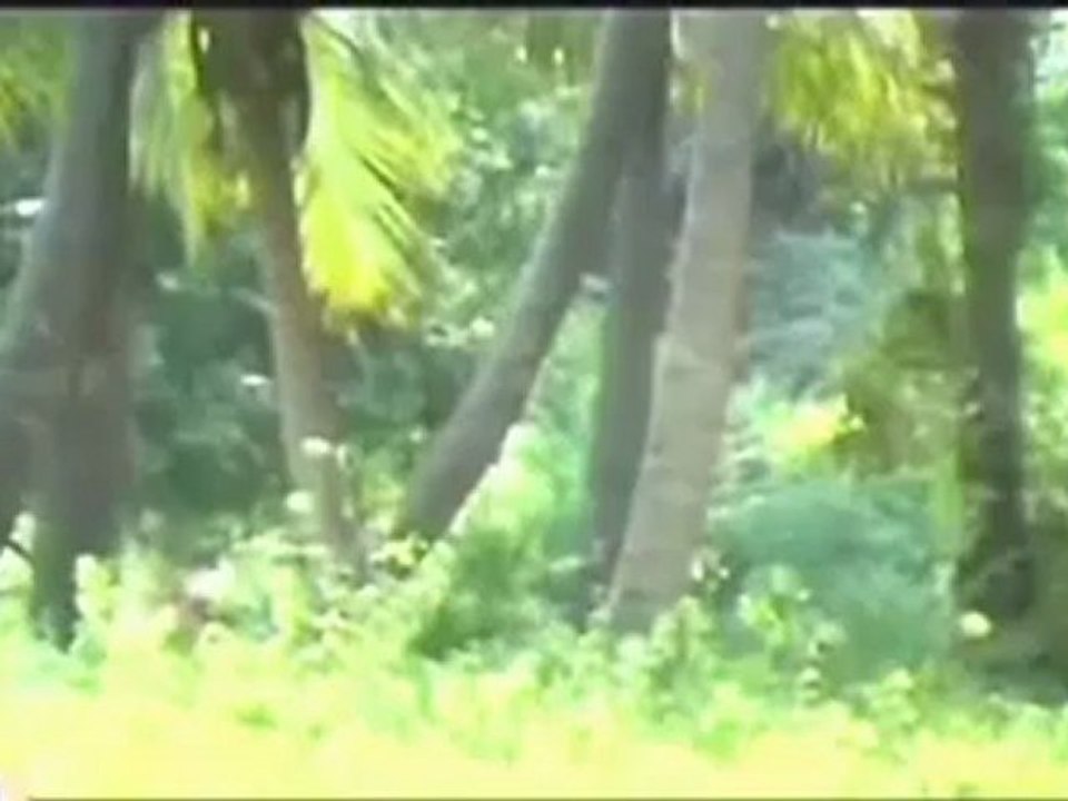 BhanuPriya Malayalam