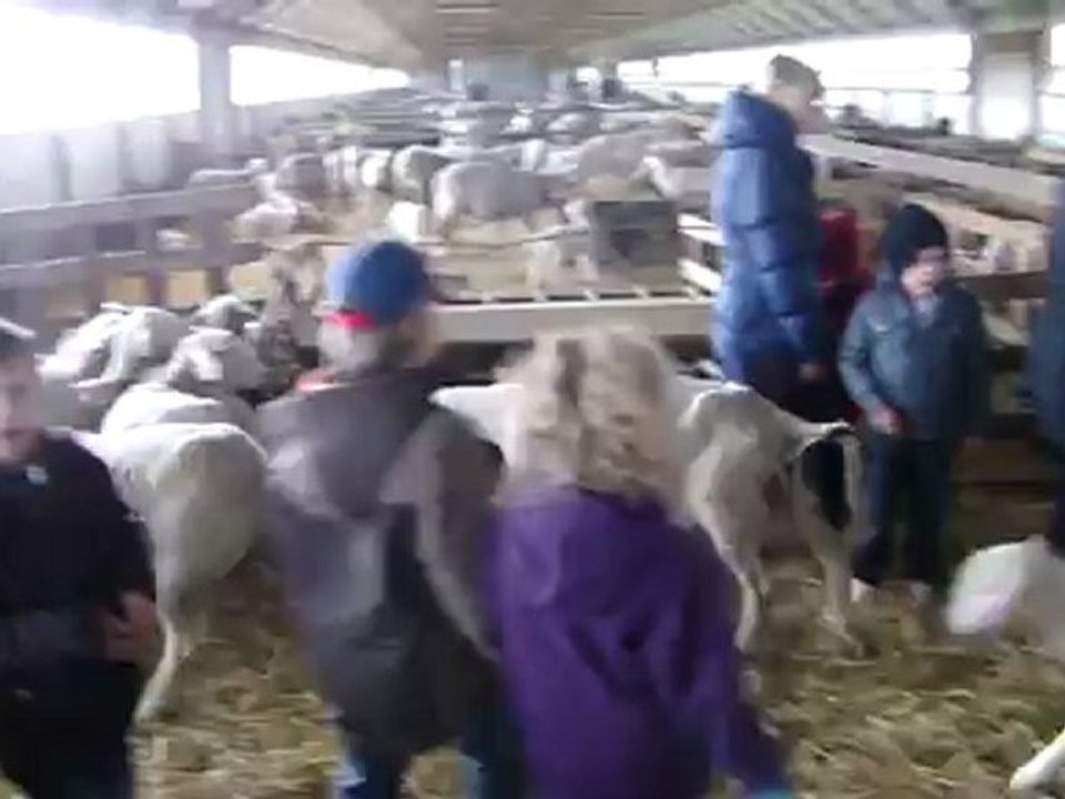 ferme de Neufchef (3)