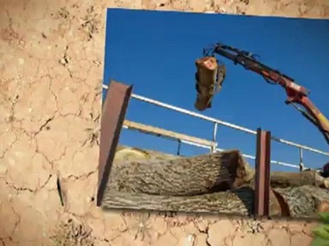 Dail's Tree Service - (870)219-2846