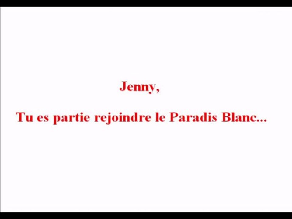 Hommage à notre Jenny, partie rejoindre le paradis blanc le 08.04.2012