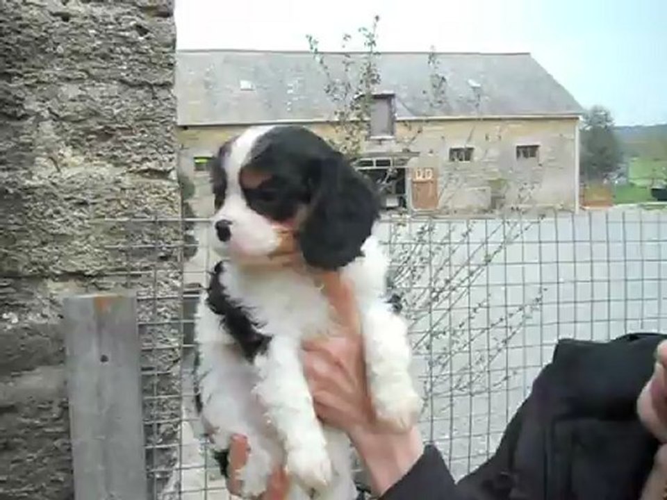 Kooper 8/4/2012