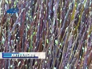 Актуально 06.04.2012