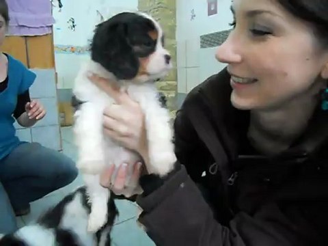 Kooper et ses petis frères 8/4/2012