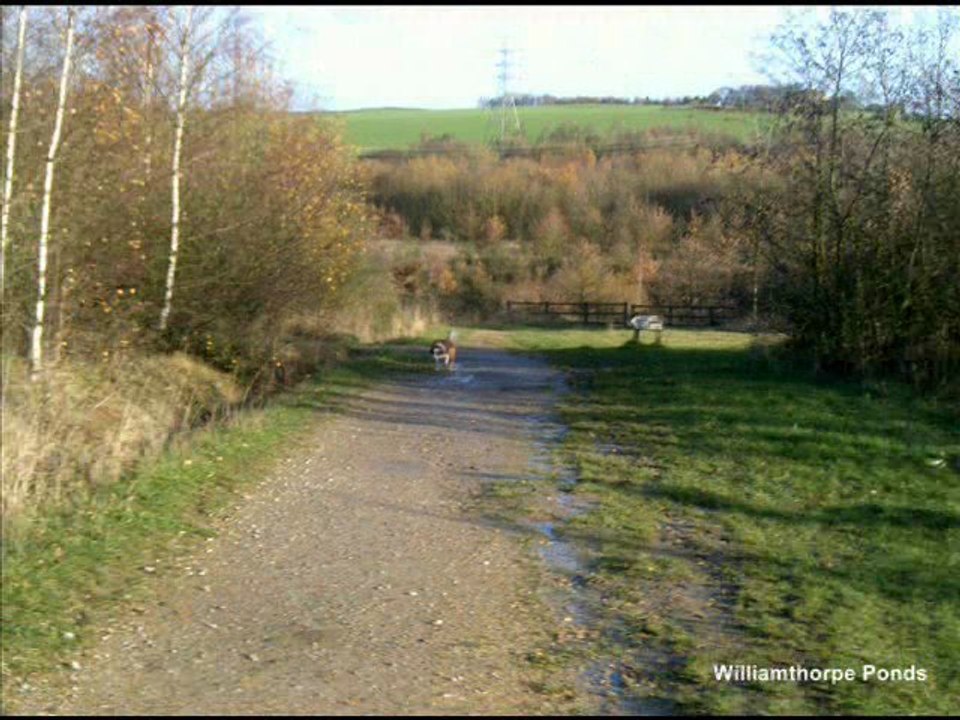 'Five Pits Trail' Historical Journey - Fourth stop, Williamthorpe (with music)