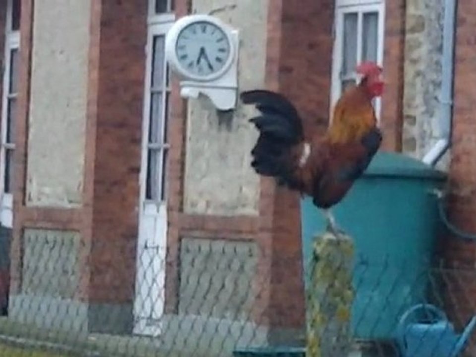 21e édition de la course Saint-Hilaire - Mortain ( 50 ) avec mario et son petit vélo