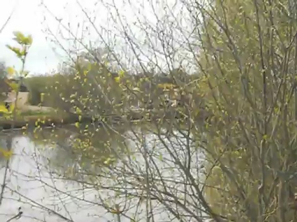 Cross Sandillon, le 8.04.12, Poney 2, Simbad et Gwen