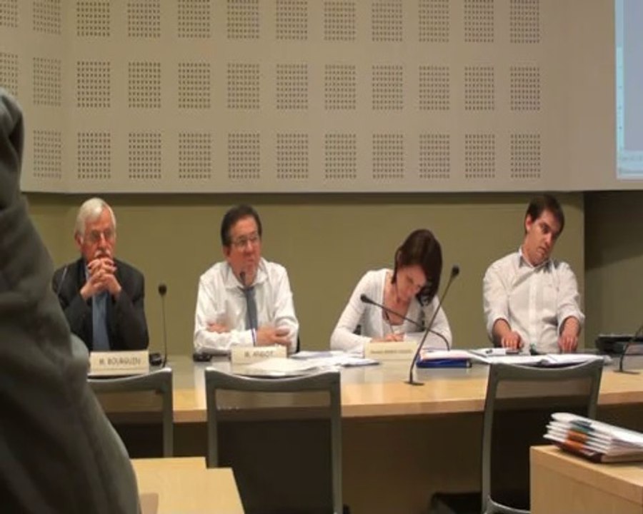 conseil mars 2012 _ démocratie participative