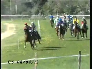 roc berry carpentras