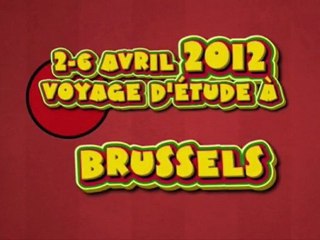 Souvenirs - Brussels 2012